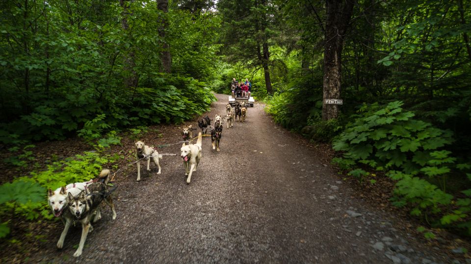 Seward: Summer Dog Sled Ride and Seavey Estate Tour - Language and Cancellation Policy