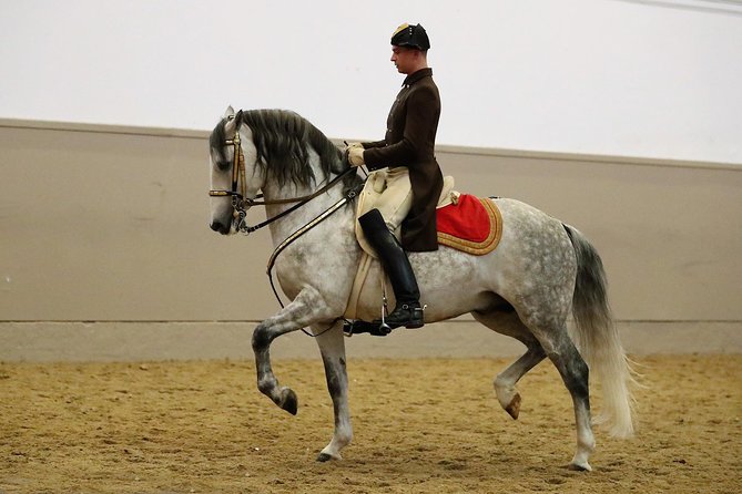 Spanish Riding School Vienna Training Ticket - Reviews and Ratings