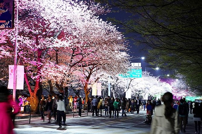 Spring 4 Days Seoul&Mt Seorak Cherry Blossom With Nami & Everland on 7 to 14 Apr - Tour Inclusions and Exclusions