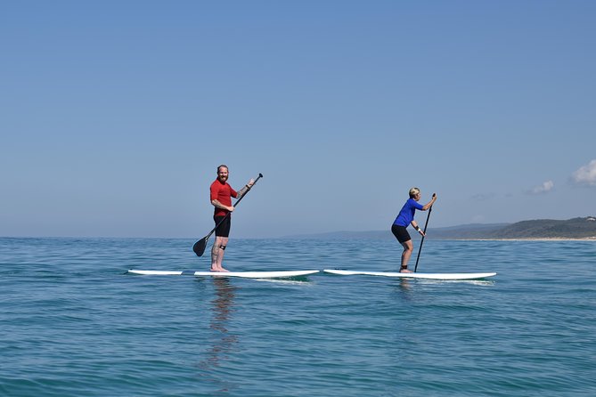 Stand up Paddle 4WD Day Trip From Noosa Including Great Beach Drive Experience - Planning Your Adventure Day