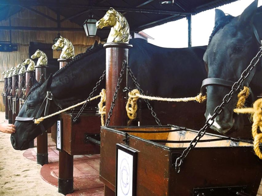 Tagus River & Ancient Production: Olive Oil, Wine and Horses - Olive Oil and Wine Production