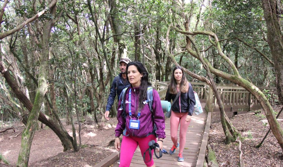 Tenerife: Guided Mindful Hike in Anaga Biosphere Reserve - Reservation Information