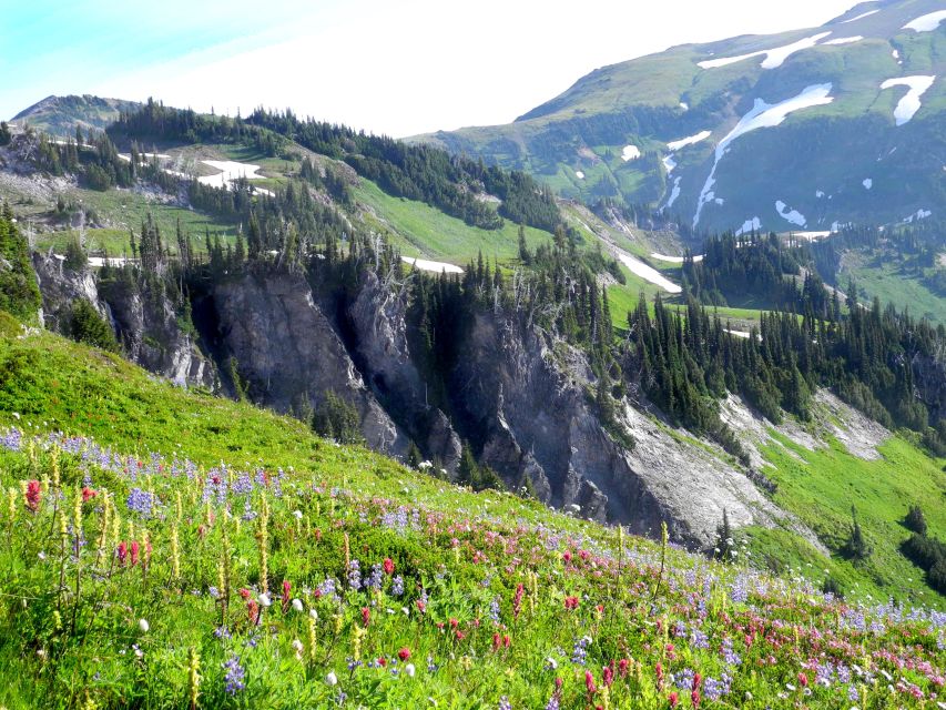 The Mount Rainier Majestic Trails Self-Guided Audio Tour - Tour Highlights