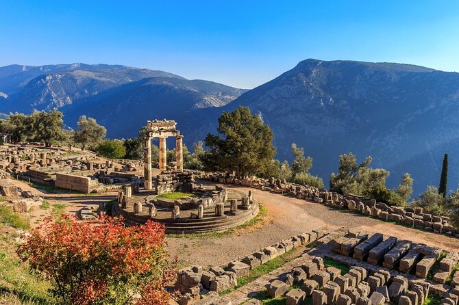 Thermopylae and Delphi Private Full-Day Tour From Athens - Customer Reviews and Feedback