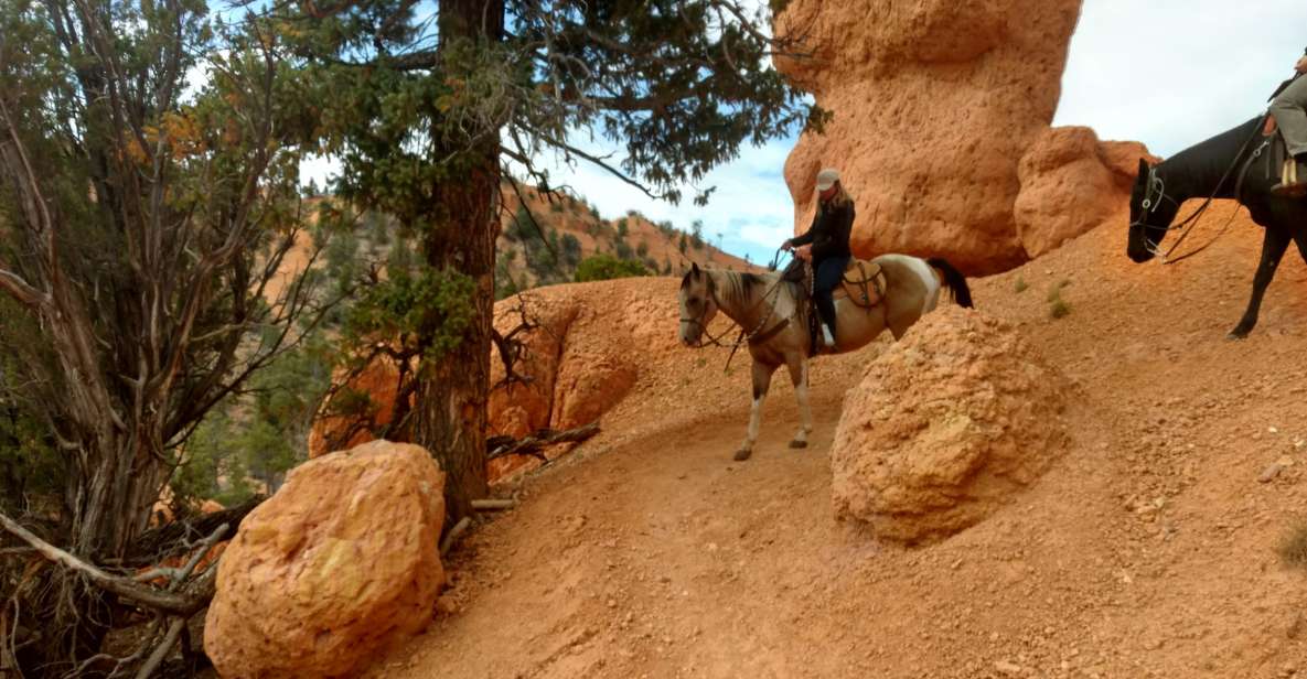 Thunder Mountain Trail: Scenic Horseback Ride - Cancellation Policy and Highlights