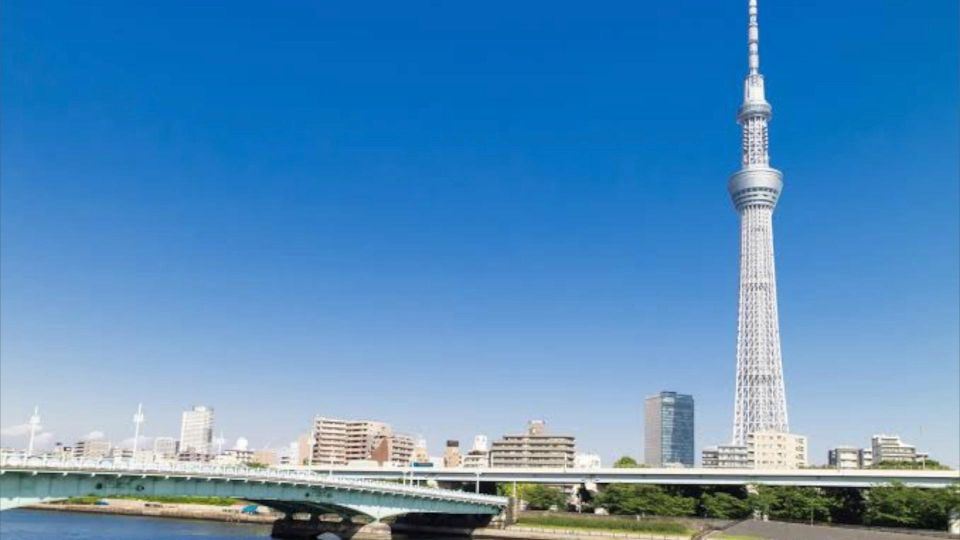 Tokyo: Customizable Private Guided Walking Tour - Accessibility and Group Size