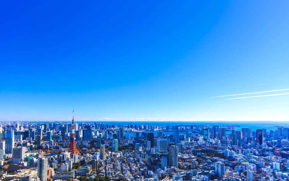 Tokyo: Guided Helicopter Ride With Mount Fuji Option - Experience Highlights