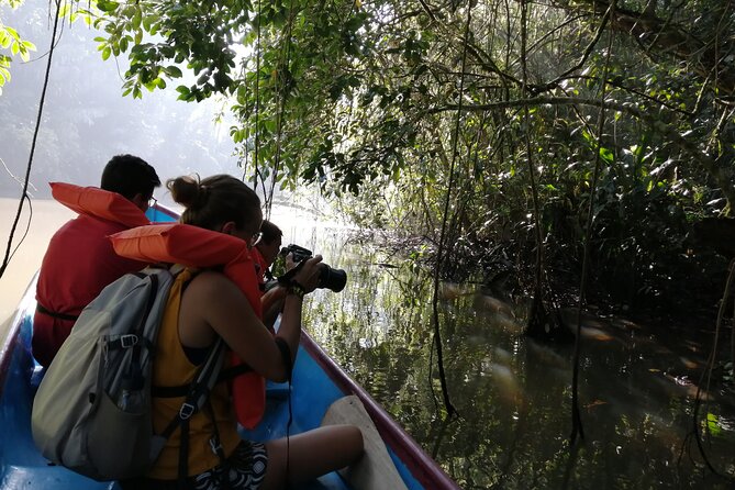 Tour to the Canals in Tortuguero National Park - Exceptional Guides and Reviews