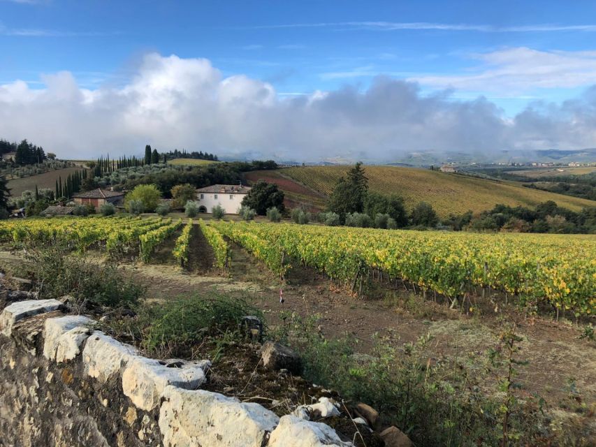 TUSCANY: WINE TASTING IN THE HEART OF CHIANTI CLASSICO - Experience Highlights