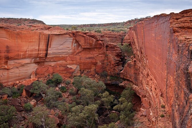 Uluru, Kata Tjuta and Kings Canyon Camping Safari From Ayers Rock - Itinerary and Schedule