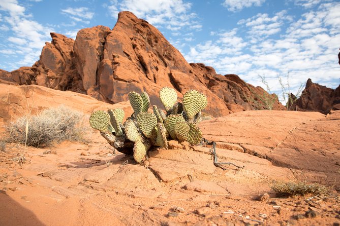 Valley of Fire and Lost City Museum Tour From Las Vegas - Tour Duration and Pickup Information