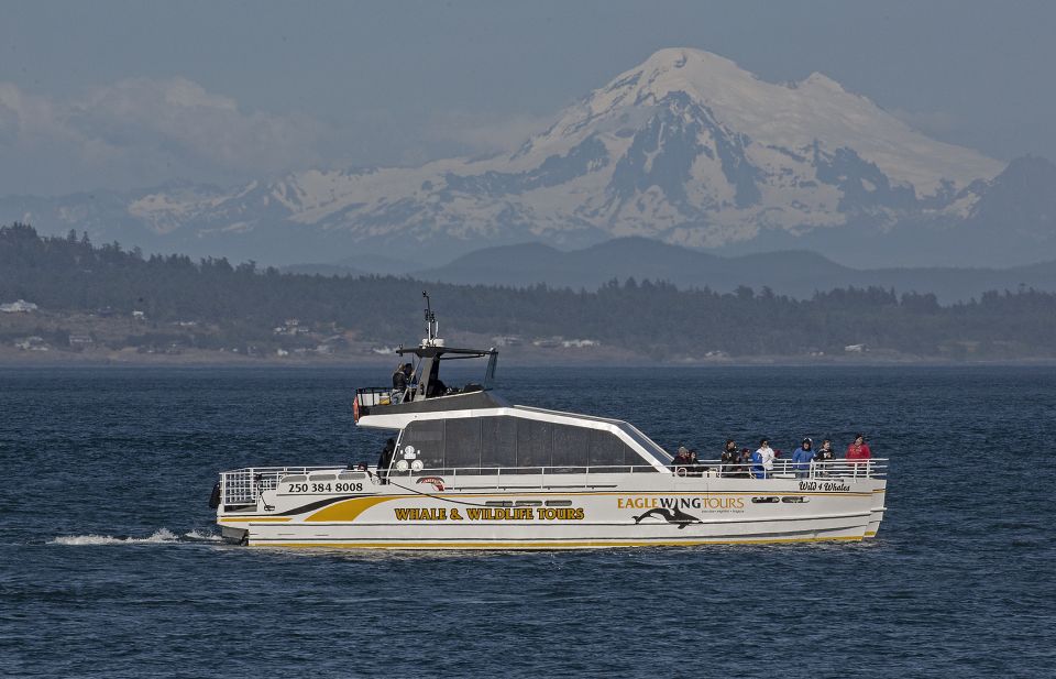 Victoria: Sunset Whale Watching Tour on Semi-Covered Boat - Language and Accessibility