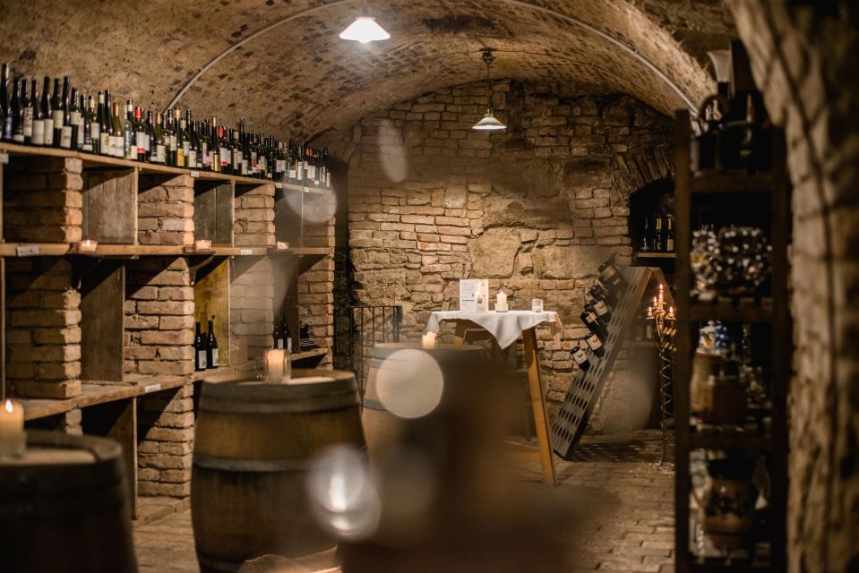 Vienna: Hidden Wine Cellars Tasting Experience - Experience Highlights