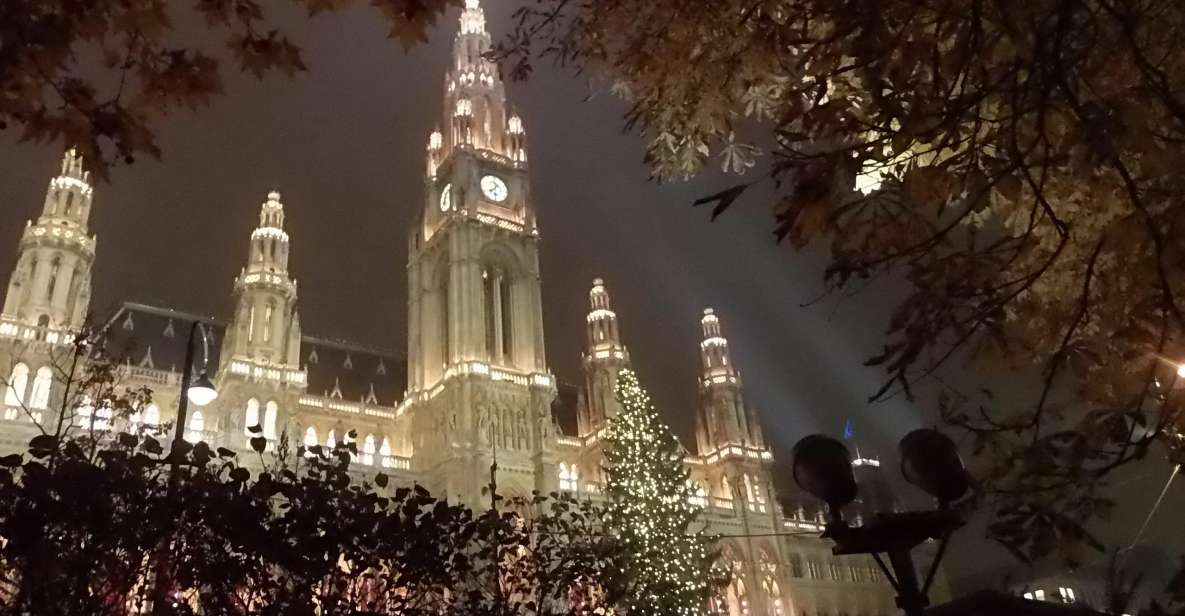 Walking on the Historical Trail of Viennese Christmas Trees - Explore Historic Palaces and Architecture