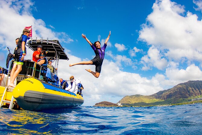 Wild Dolphin Watching and Snorkel Safari off West Coast of Oahu - Wildlife Sightings