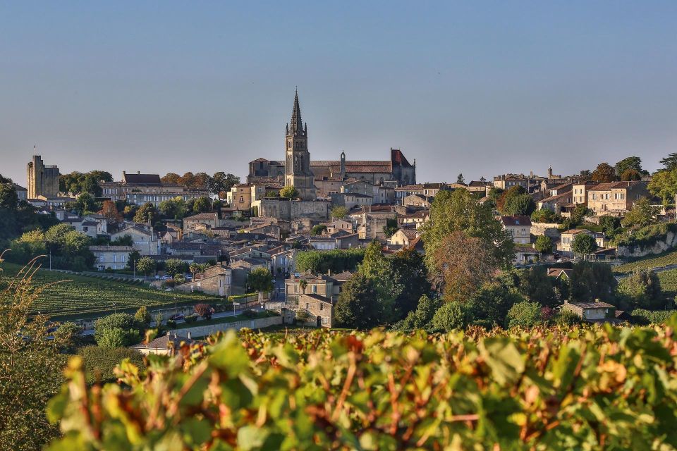 World Heritage Sites & Wineries of Saint Emilion With Lunch - Activity Highlights