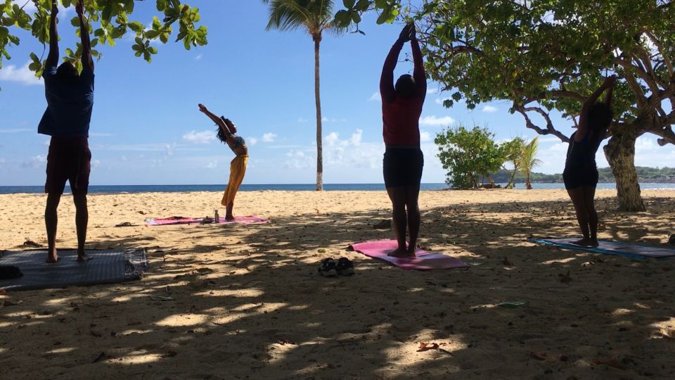 Yoga and Discovery in Grande-Terre North - Embark on an Island Adventure