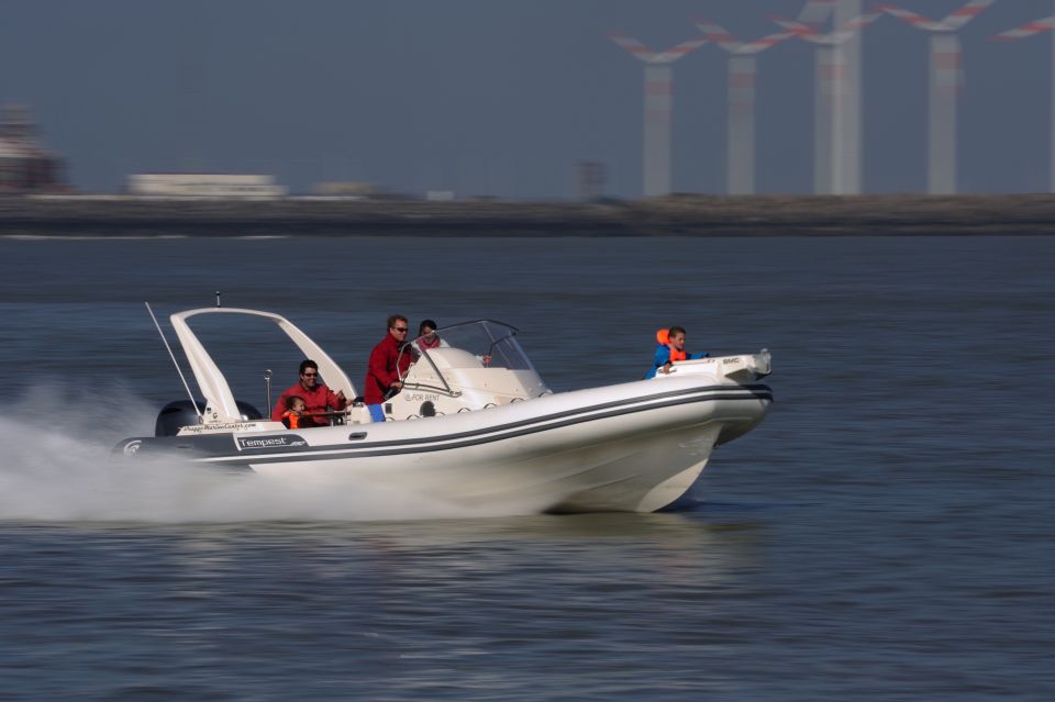 Zeebrugge: Seal Watching Boat Tour With Glass of Champagne - Experience Details