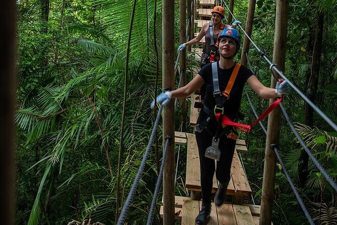 Ziplining Cape Tribulation With Treetops Adventures - What to Expect on Tour
