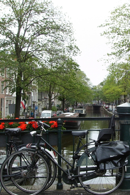 2.5-Hour Amsterdam Sightseeing Tour by Bike - Tour Highlights and Locations Visited