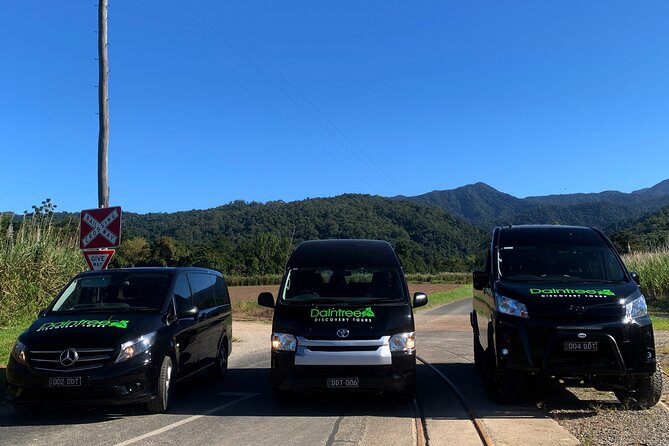 Afternoon Tour Mossman Gorge & Daintree River From Port Douglas - Itinerary and Pickup Information