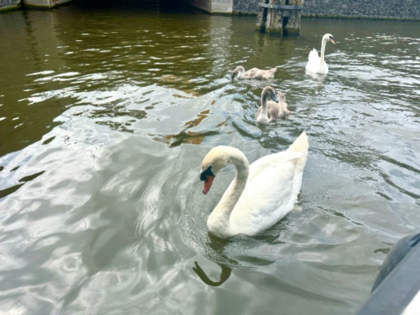 Amsterdam: Boat Cruise With Drinks and Nibbles - Important Guidelines and Policies