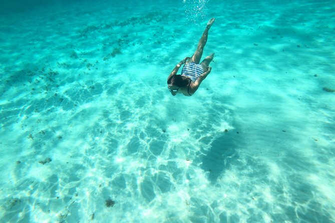 Bavarian Fiesta Snorkel Activity in Glass Bottom Boat at San Miguel De Cozumel - Included Inclusions