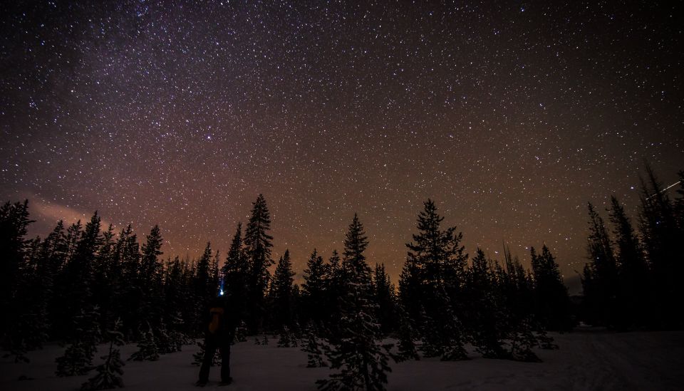 Bend: Guided Moonlit Snowshoe Tour - Tour Highlights