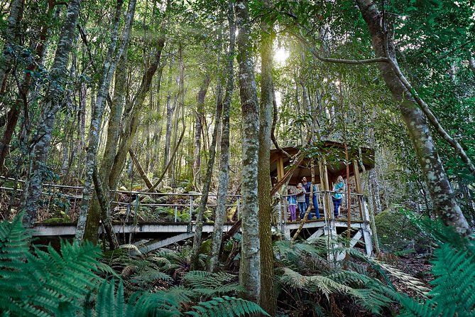 Blue Mountains Small-Group Tour From Sydney With Scenic World,Sydney Zoo & Ferry - Scenic World Experience