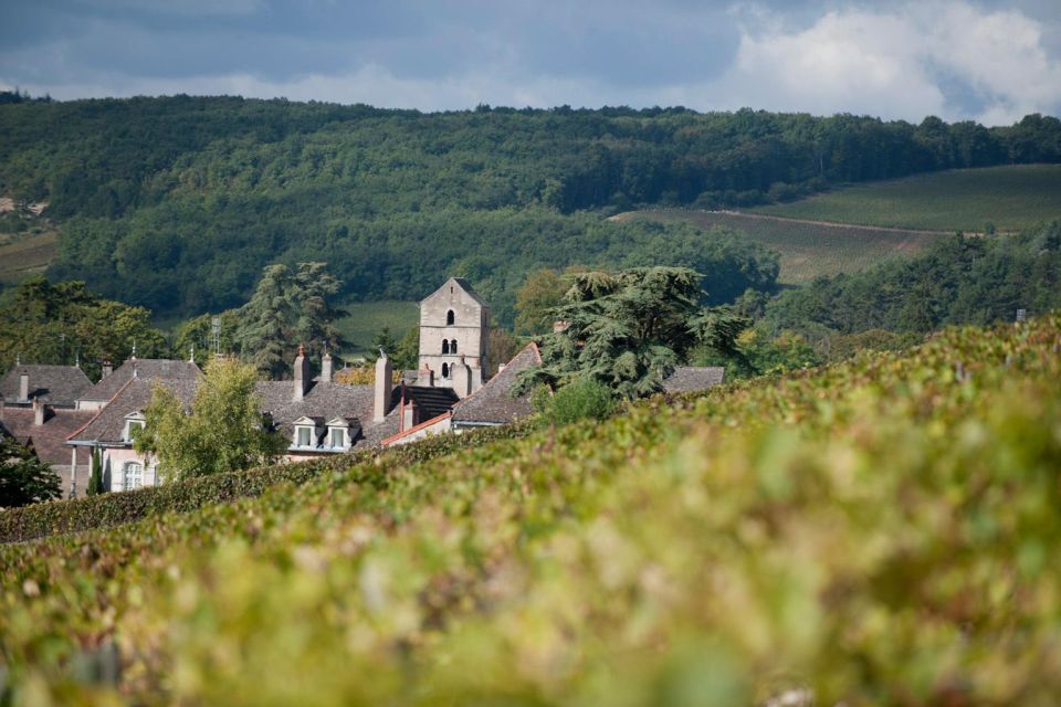 Burgundy: Guided Vineyard and Winery Tour With Wine Tasting - Wines to Be Tasted