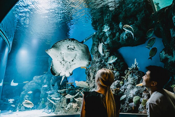 Cairns Aquarium by Sunrise - Accessibility and Inclusions