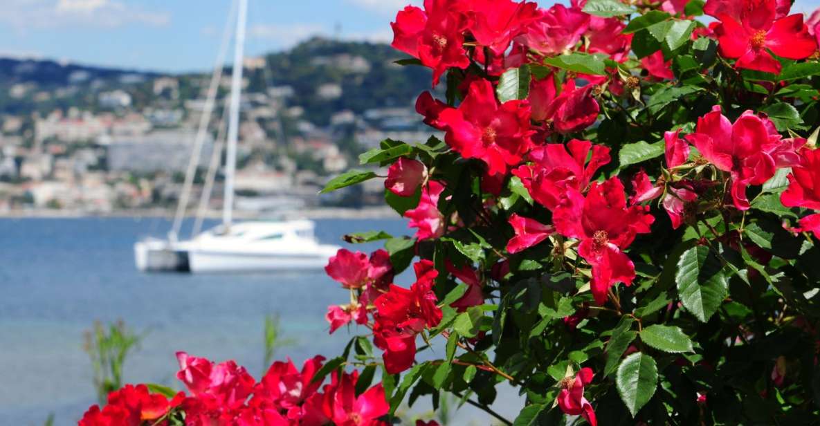 Cannes: Private Trip to Grasse, Antibes, & St. Paul De Vence - Experience Highlights