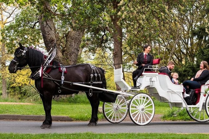 Central Park and NYC Horse Carriage Ride OFFICIAL ( ELITE Private) Since 1970 - Inclusions