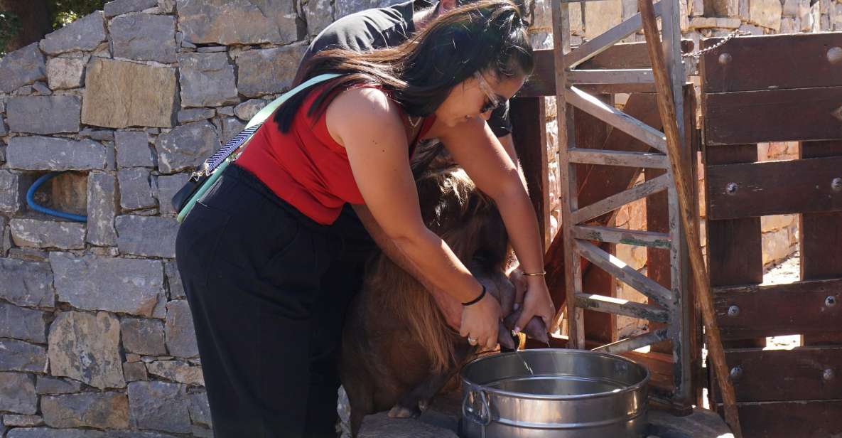 Crete: Shepherd'S Life & Psiloritis Mountain Tour With Meal - Itinerary Highlights