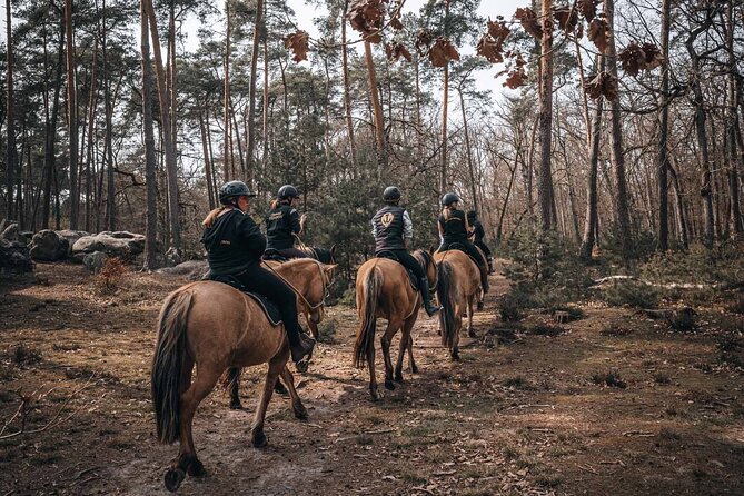 Day Trip to Fontainebleau : Horse Riding, Gastronomy and Castle - Scenic Drive to Fontainebleau