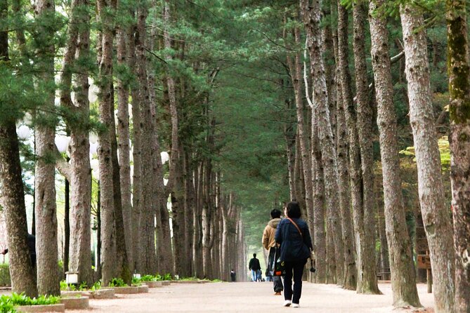 Day Trip to Nami Island With Rail Bike and the Garden of Morning Calm - Exploring the Garden of Morning Calm