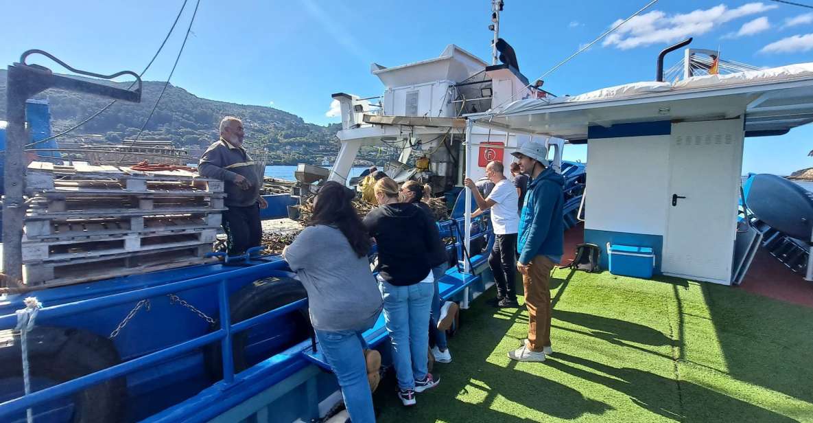 Discovering Vigo Ria and Mussels in the Traditional Boat - Description