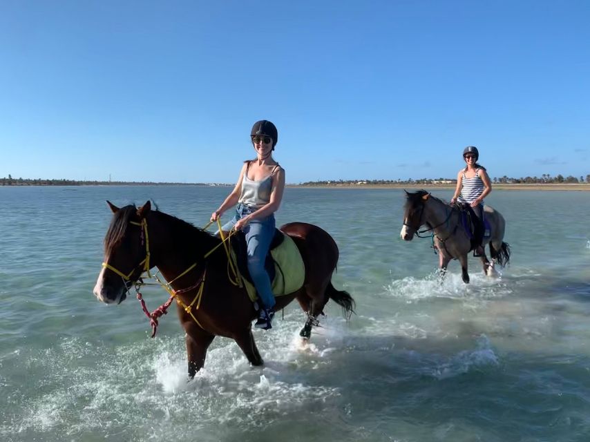 Djerba: 2-Hour Lagoon Horse Riding Experience - Experience Highlights