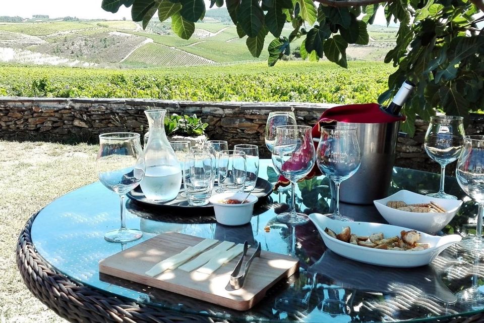 Douro Valley: Premium Full-Day Tour Experience - Customer Experiences and Reviews