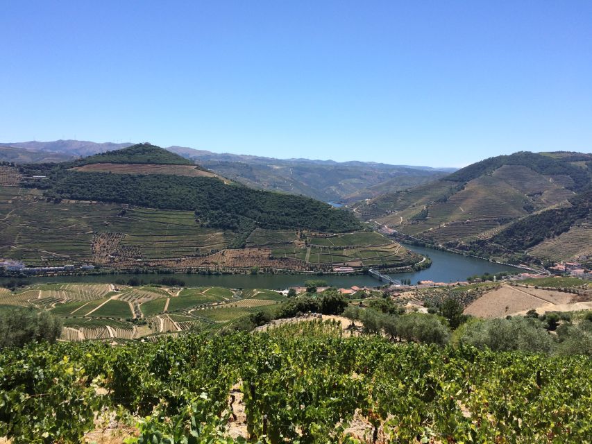 Douro Valley Wine Tasting From Porto - Itinerary