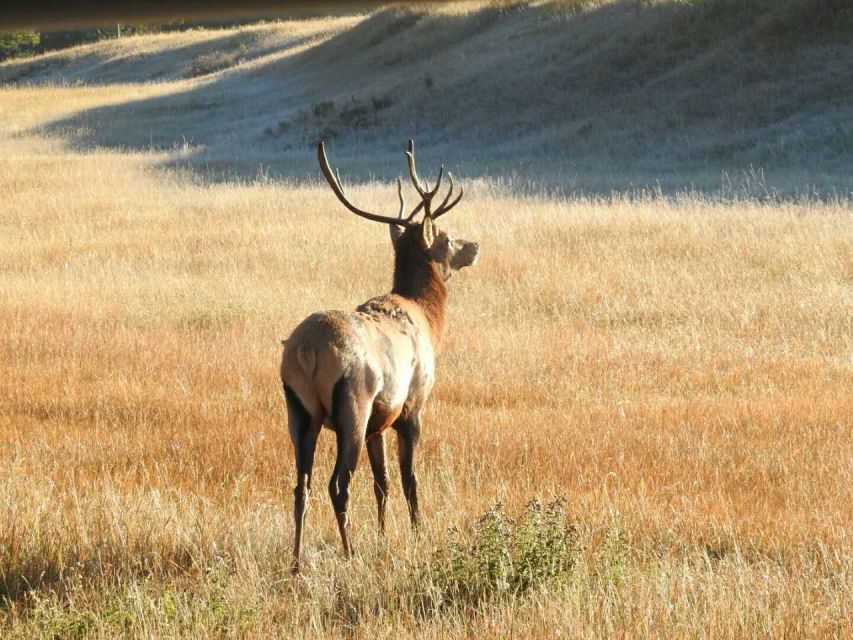 From Banff/Canmore: Guided Day Tour in Banff National Park - Highlights