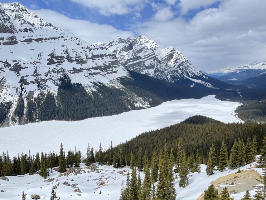 From Banff: Icefield Parkway Scenic Tour With Park Entry - Important Information