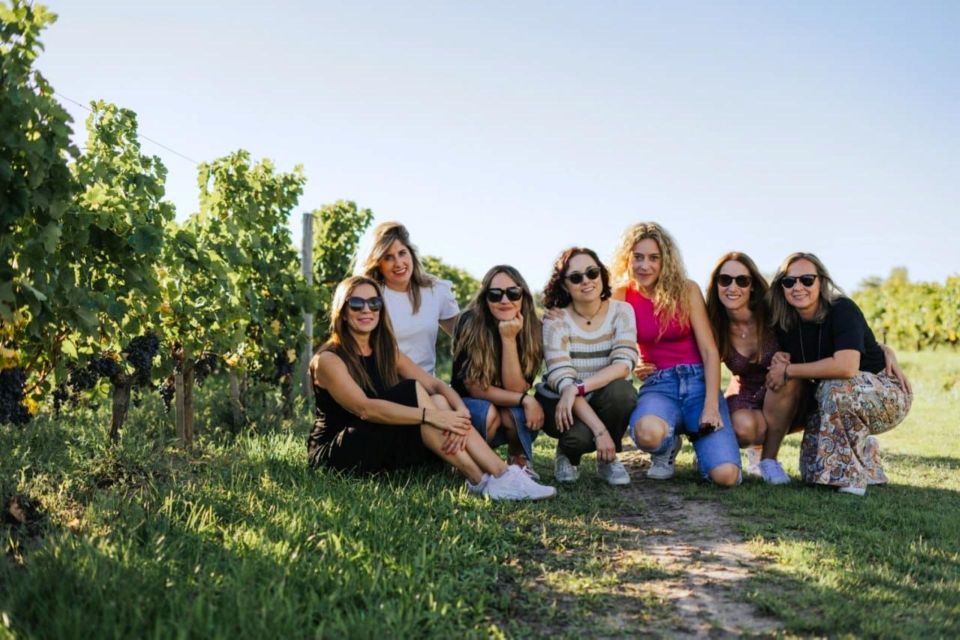 From Bordeaux: Afternoon Saint-Emilion Wine Tasting Trip - Customer Reviews and Ratings