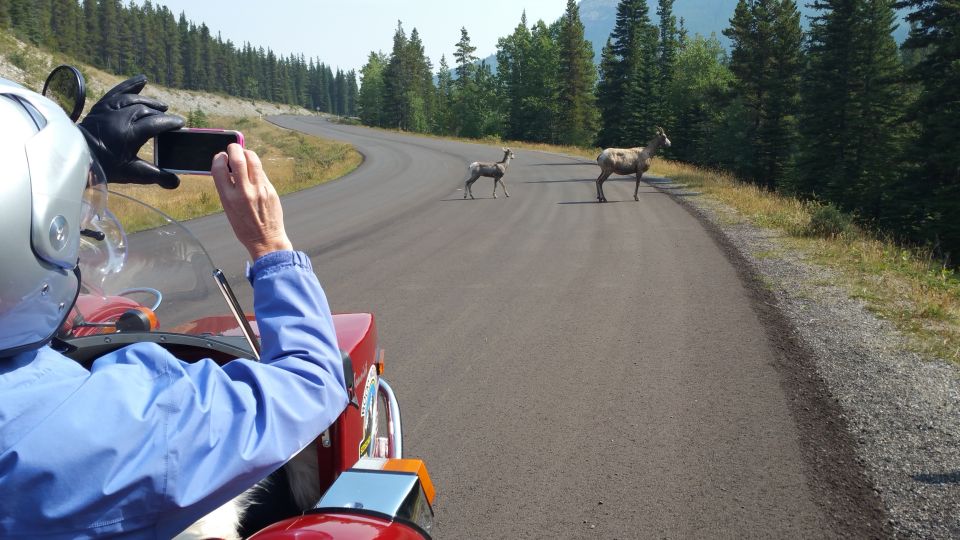 From Calgary: High Spirits Adventure in a Sidecar Motorcycle - Inclusions