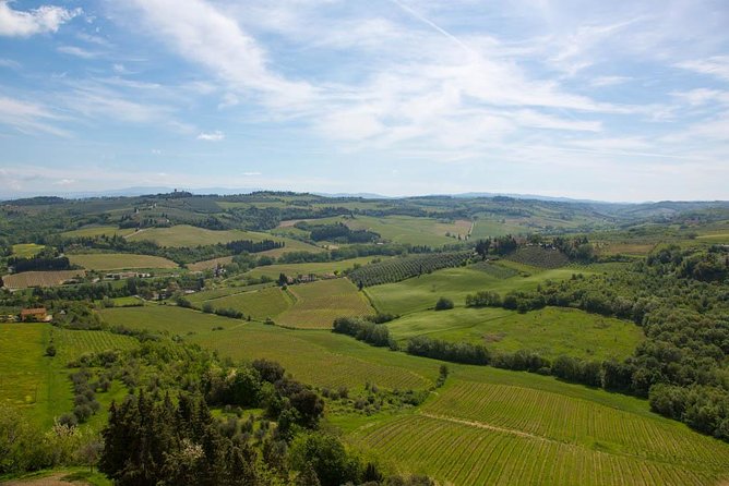 From Florence: Small-Group Tuscany Wine & Oil Tour With Typical Tuscan Meal - Customer Recommendations