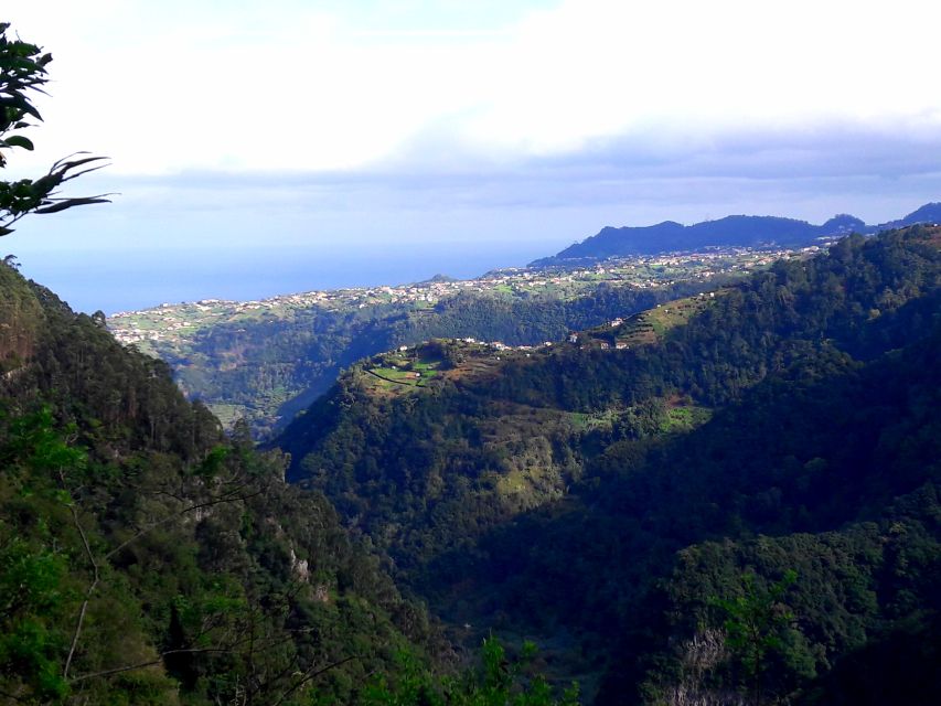From Funchal: São Jorge Valleys Levada Walk - Pickup and Private Group Option