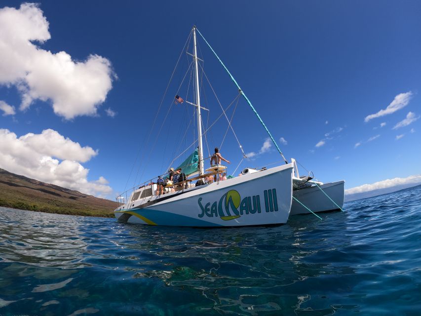 From Ka'anapali Beach: West Maui Half-Day Snorkel Adventure - Full Activity Description