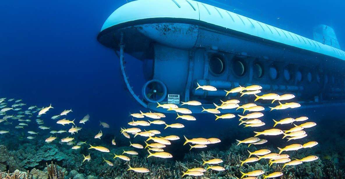 From Kona: Big Island Underwater Submarine Adventure - Full Description