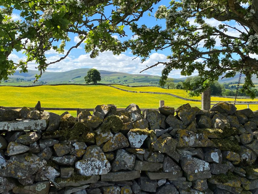From Lake District: Full-Day Yorkshire Dales Tour - Customer Reviews