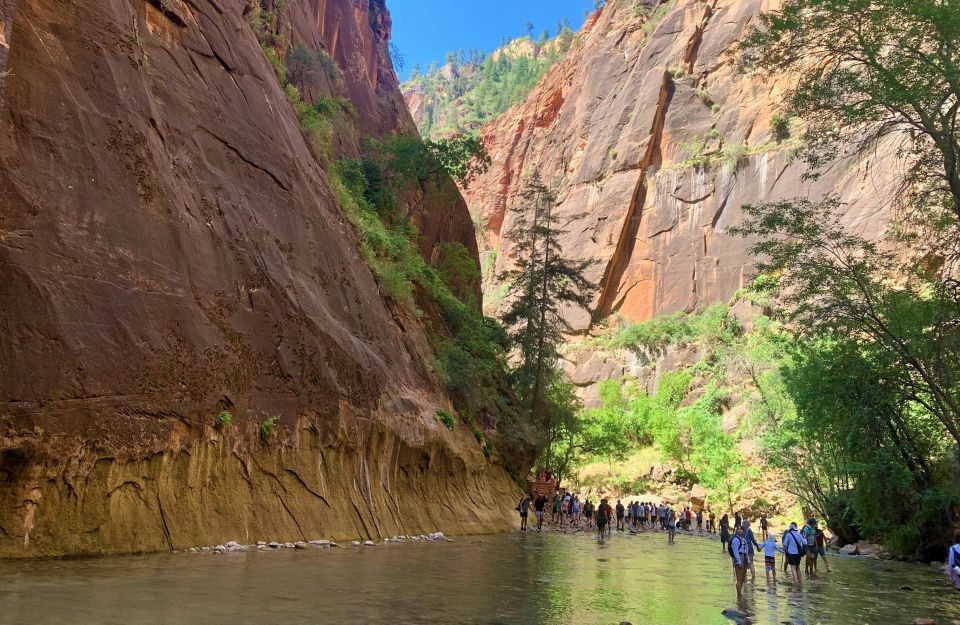 From Las Vegas: Zion National Park Small Group Adventure - Experience Highlights